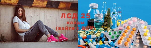 прущие грибы Козловка