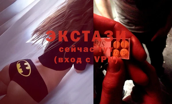 гидра Кодинск