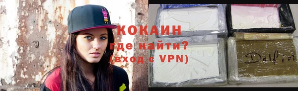 прущие грибы Козловка