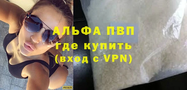 гидра Кодинск