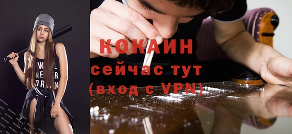 прущие грибы Козловка