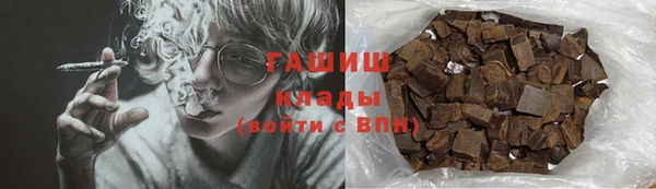 гидра Кодинск