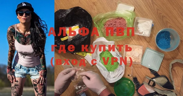 прущие грибы Козловка