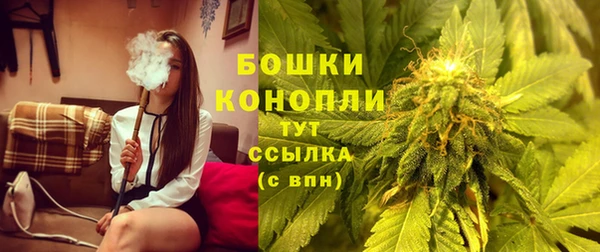 прущие грибы Козловка
