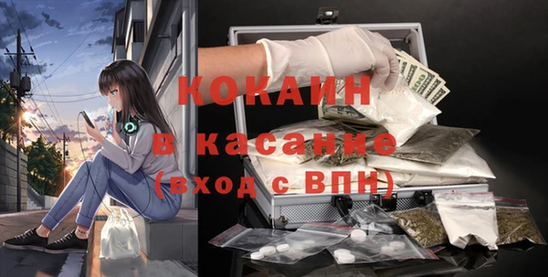 гидра Кодинск