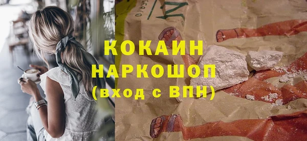 гидра Кодинск