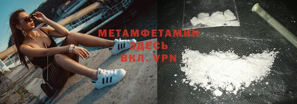 гидра Кодинск