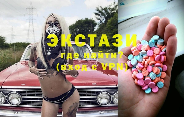 гидра Кодинск