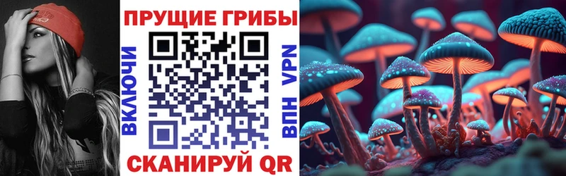 Псилоцибиновые грибы ЛСД  Купить где  Гулькевичи 