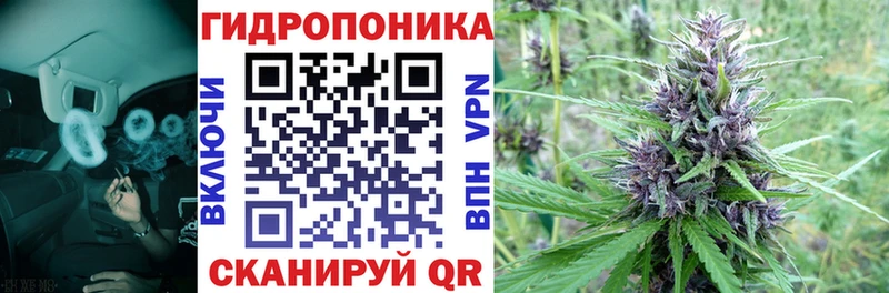 Конопля гибрид  Купить закладки  Гулькевичи 